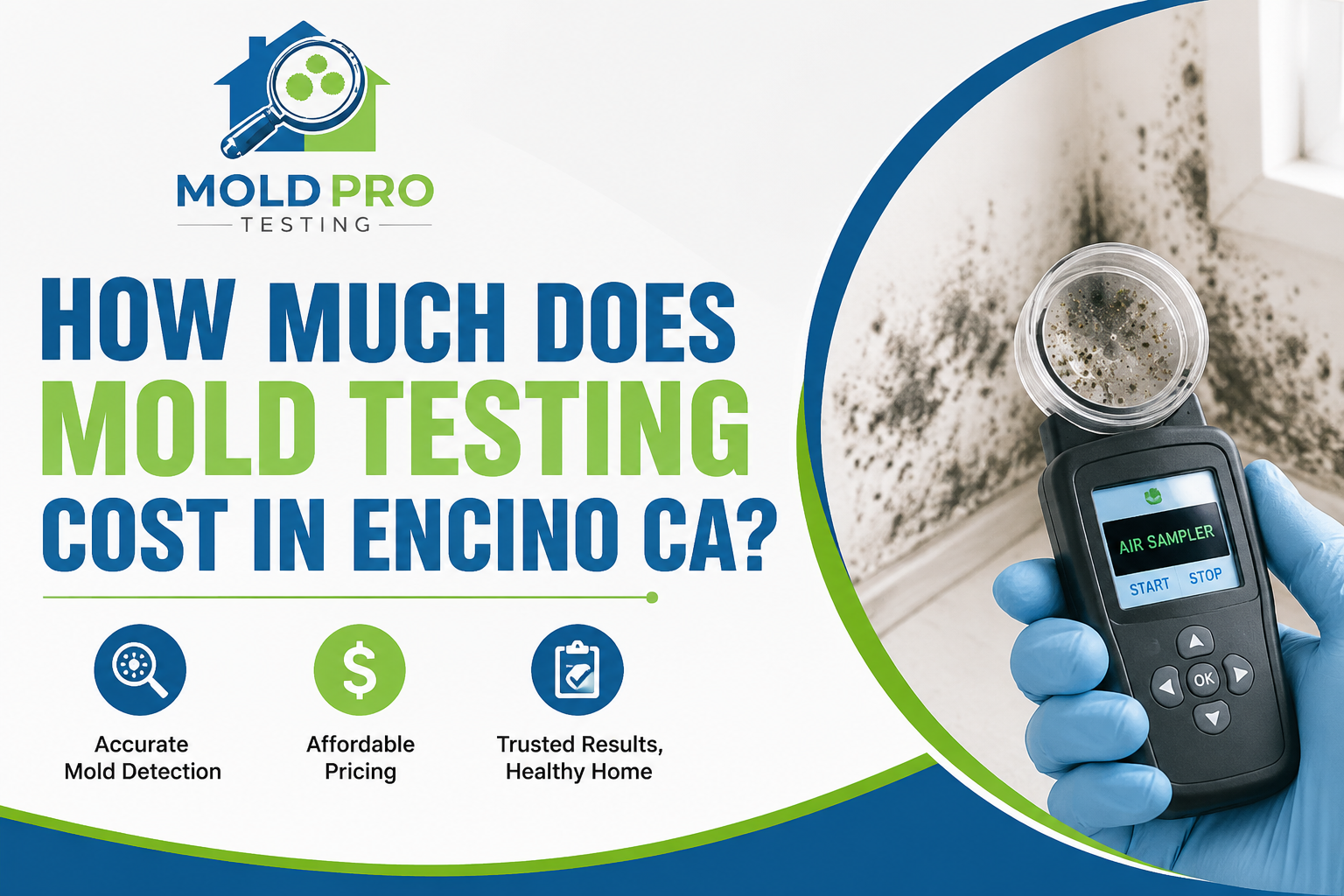 How Much Does Mold Testing Cost in Encino CA?