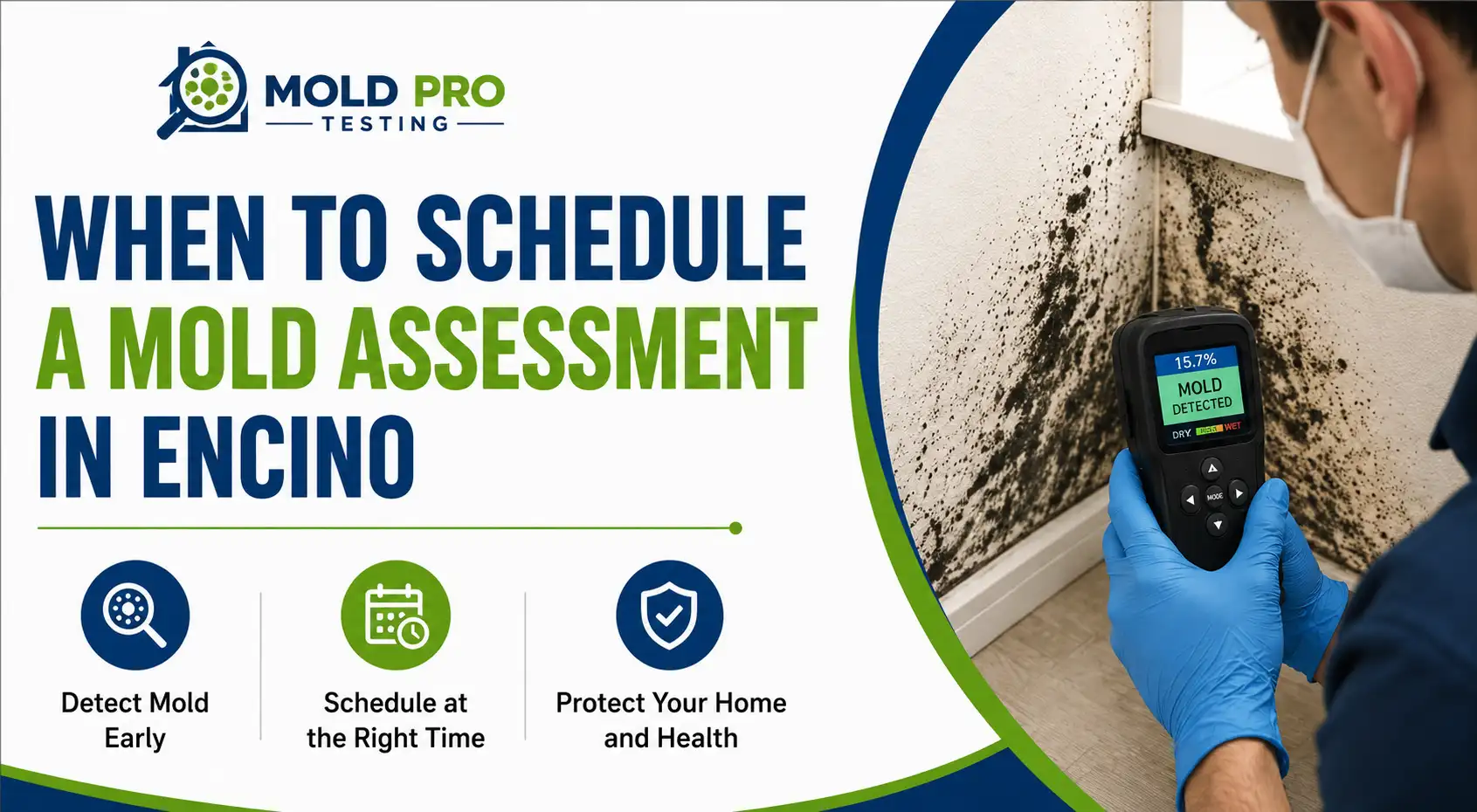 When Should You Schedule a Mold Assessment in Encino CA?