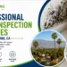 Mold Inspection