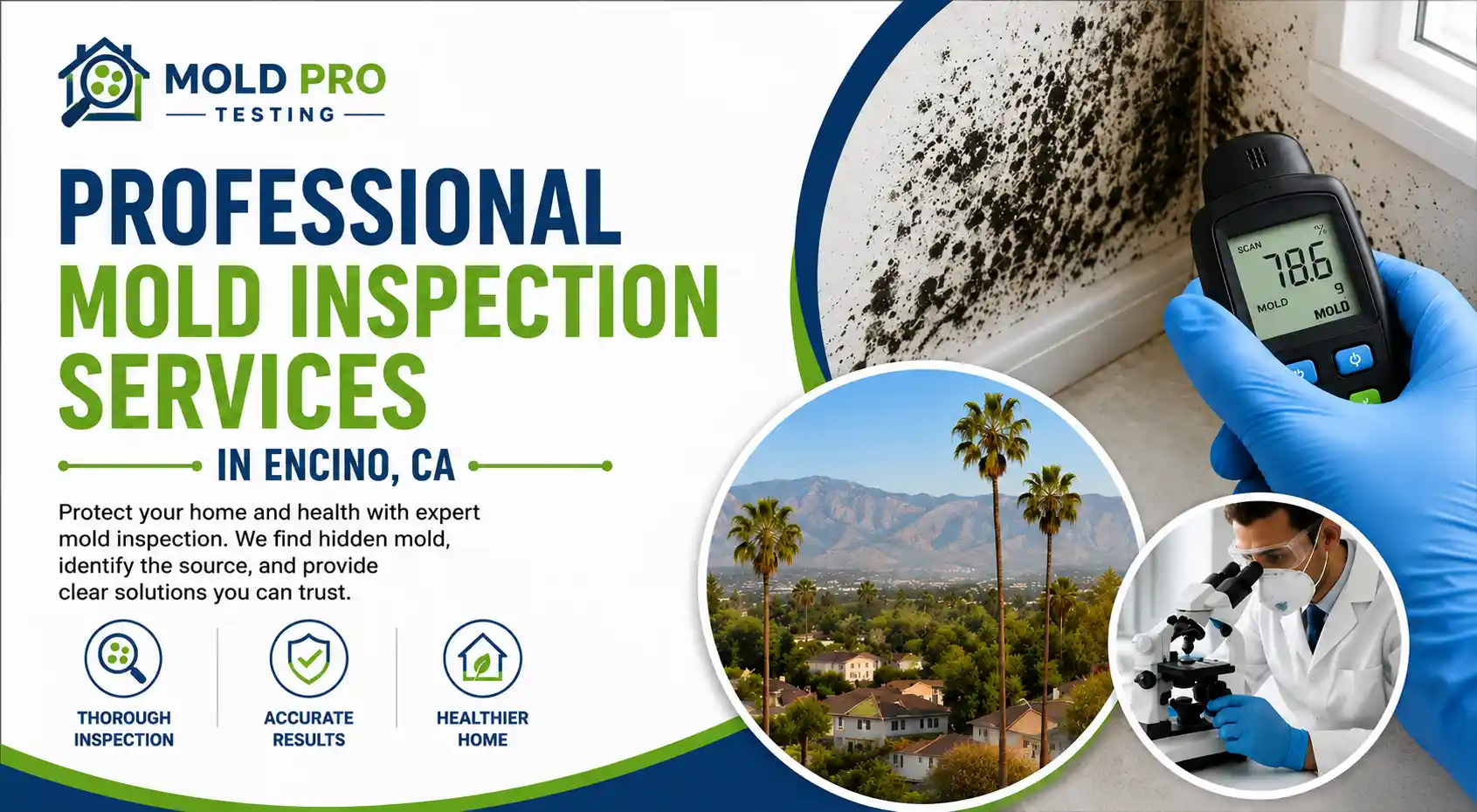 Professional Mold Inspection Services in Encino CA for Safe Homes