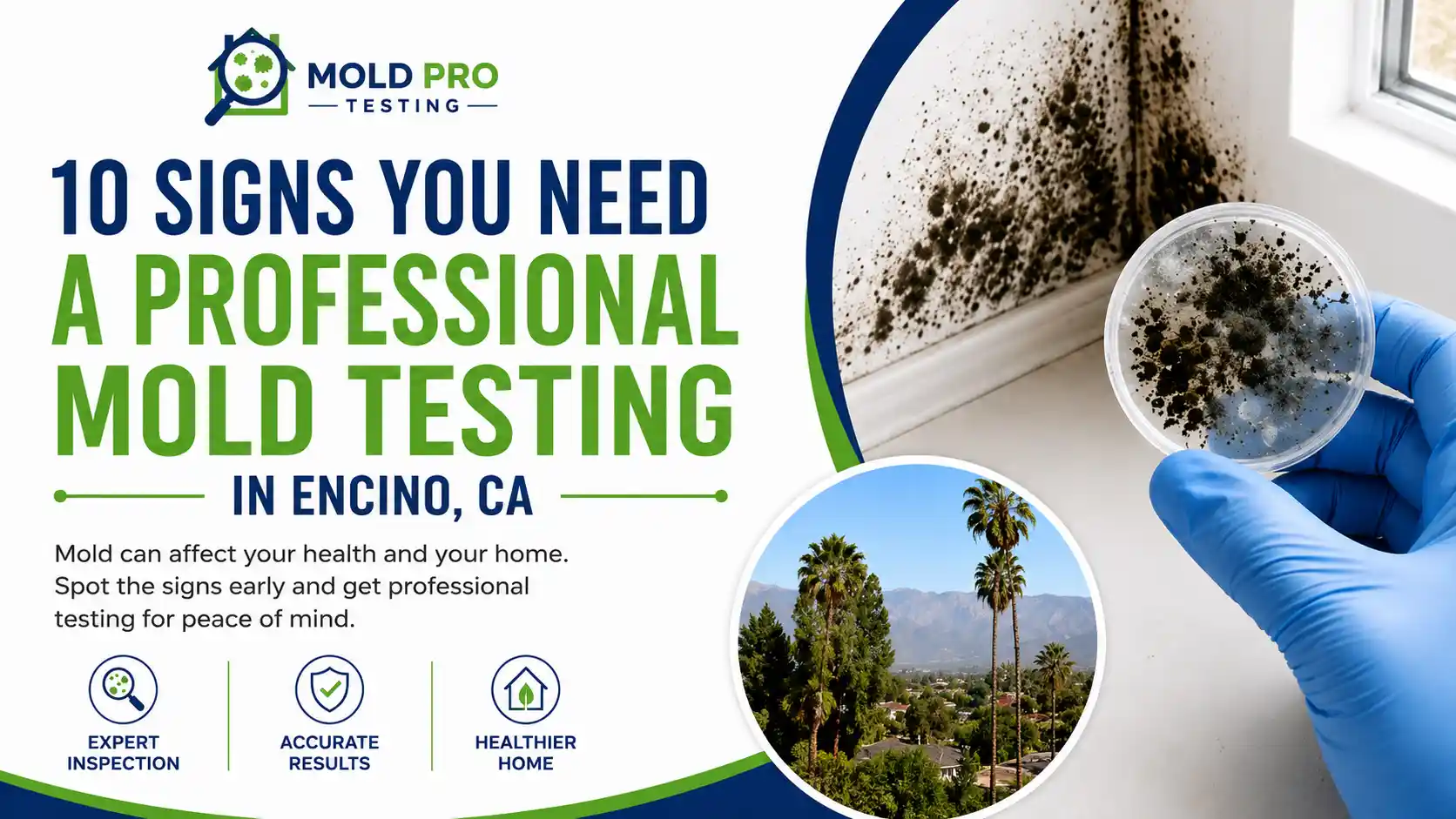 10 Signs You Need a Professional Mold Testing Service in Encino, CA