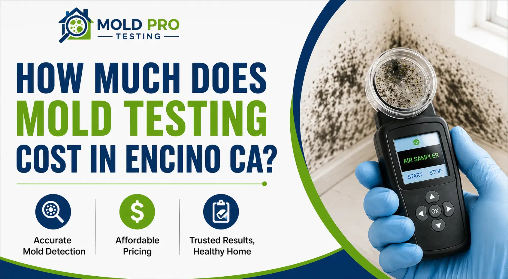 How Much Does Mold Testing Cost in Encino CA?