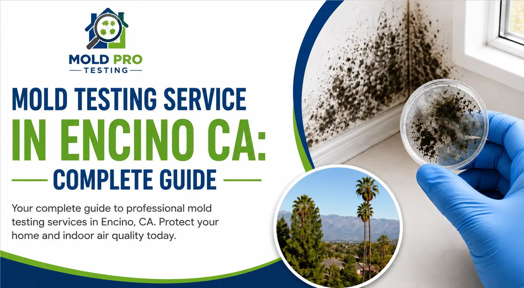 Mold Testing Service in Encino CA: Complete Guide for Homeowners