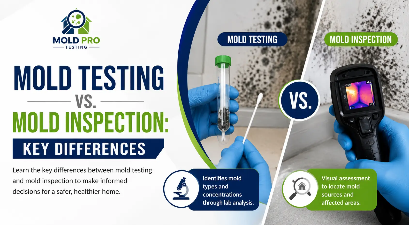 Mold Testing vs. Mold Inspection: What’s the Difference?