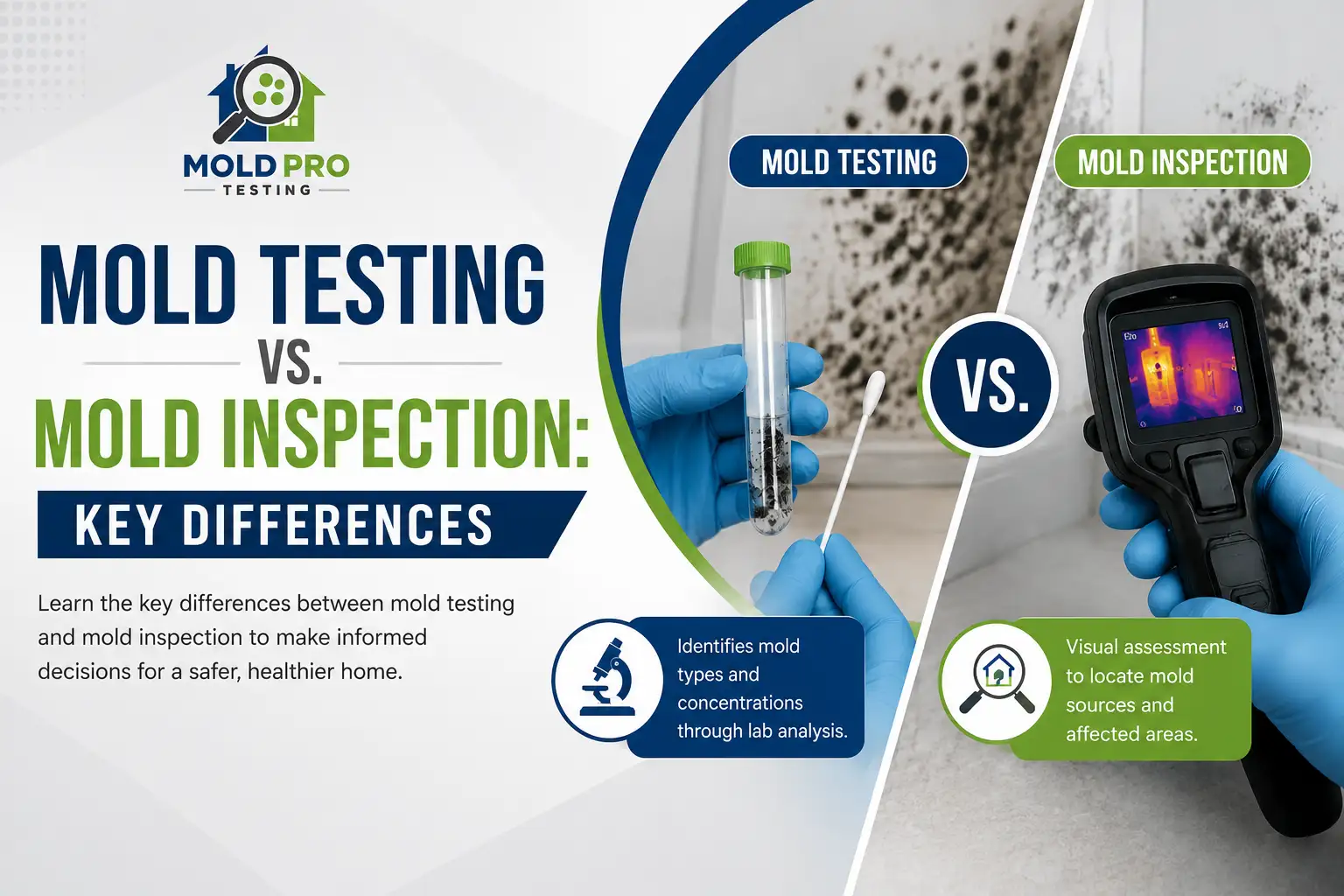 Mold Testing vs. Mold Inspection