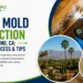 Attic Mold Inspection