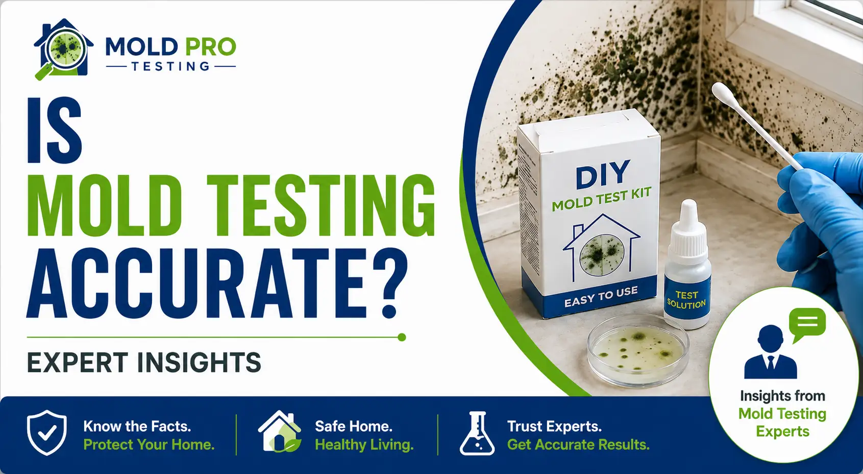 Is DIY Mold Testing Accurate? Here’s What Experts Say