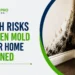 Hidden Mold