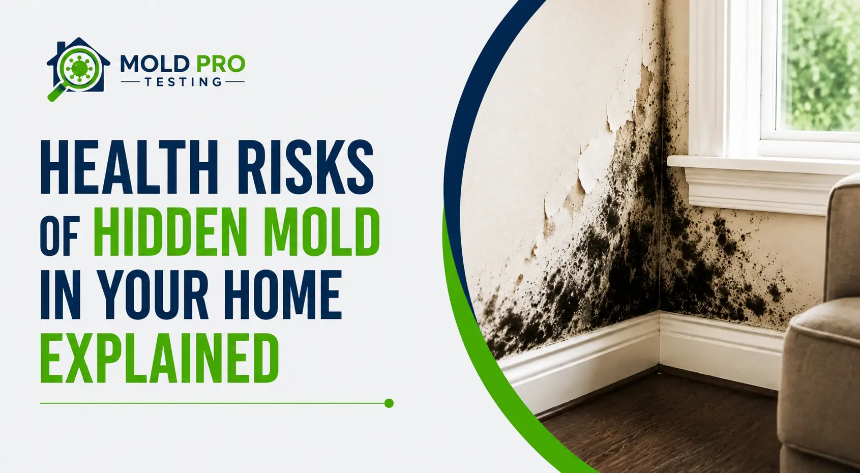What Are the Health Risks of Hidden Mold in Your Home?