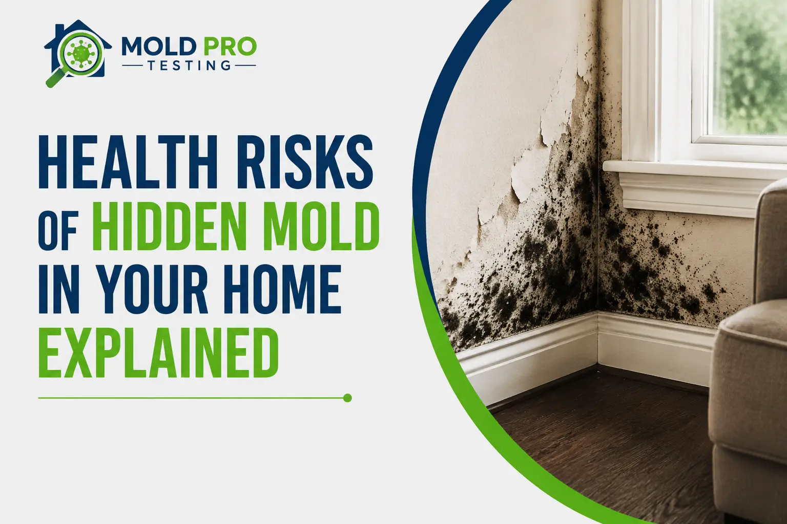 Hidden Mold